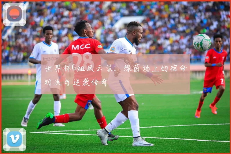 世界杯G组风云录:绿茵场上的宿命对决与逆袭传奇